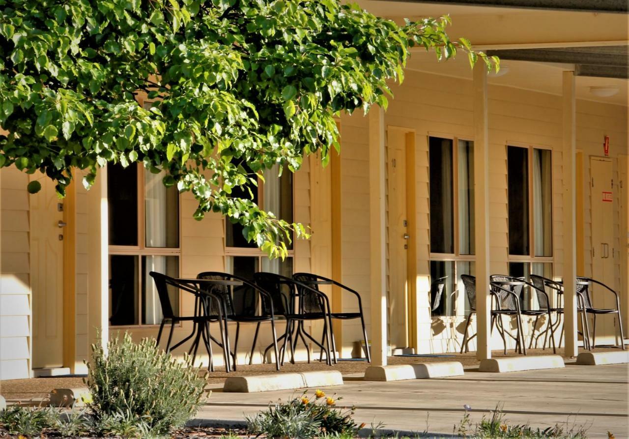 Pittsworth Motor Inn Екстер'єр фото